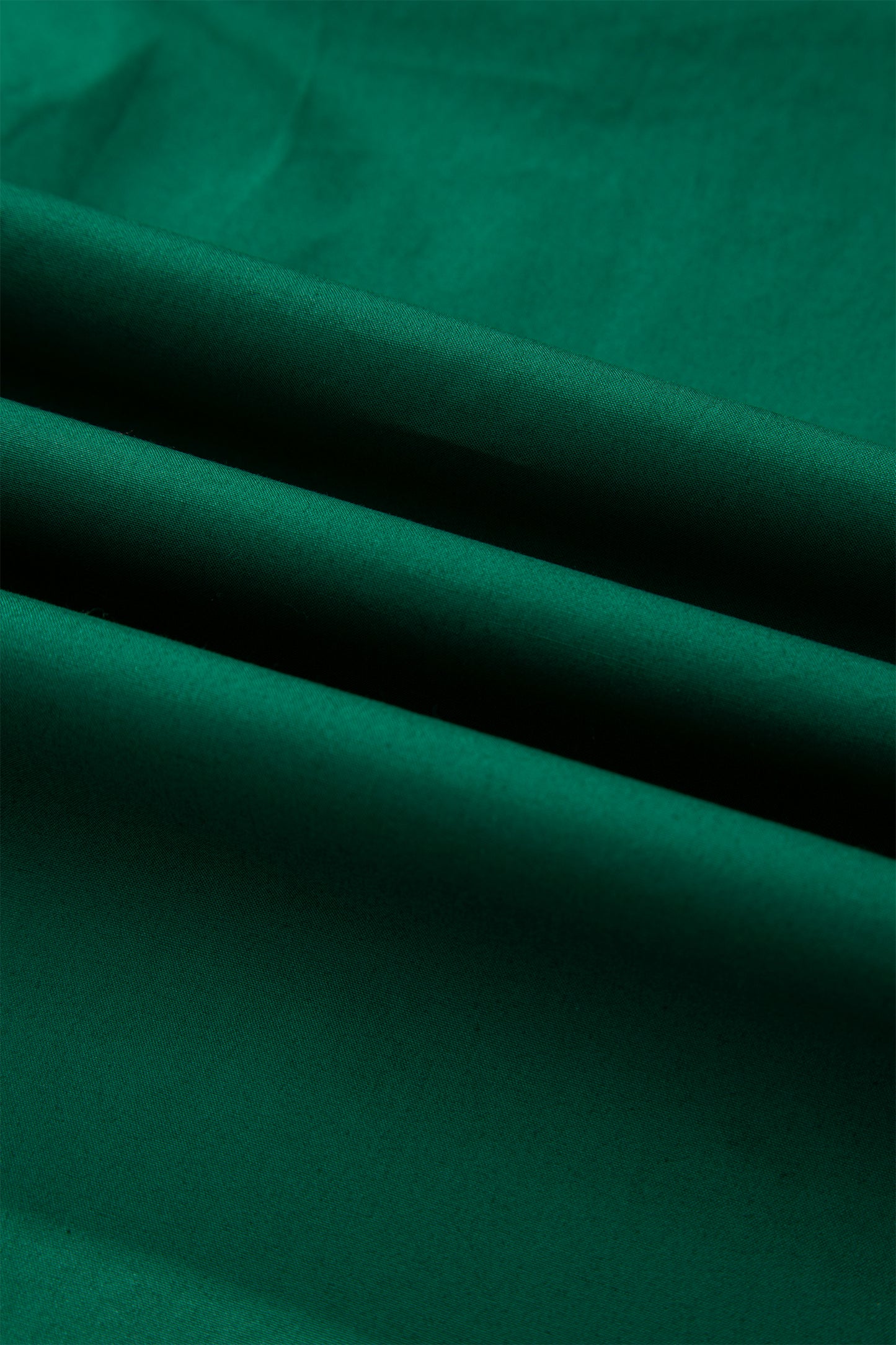 Evergreen Puffy Flounce Sleeve Leopard Trim V Neck Blouse