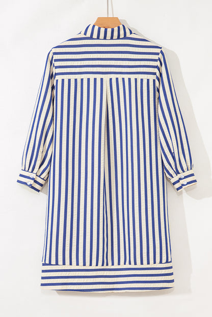 Blue Stripe Collared Half Button Side Pockets Loose Fit Mini Dress