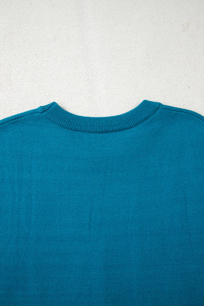 Light Blue Horse Shoe Embroidered Loose Short Sleeve Sweater