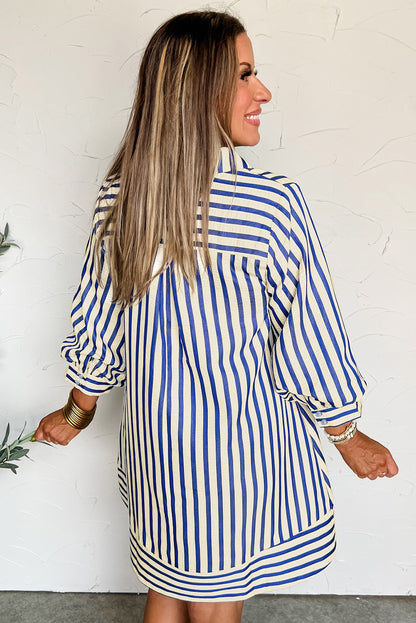 Blue Stripe Collared Half Button Side Pockets Loose Fit Mini Dress
