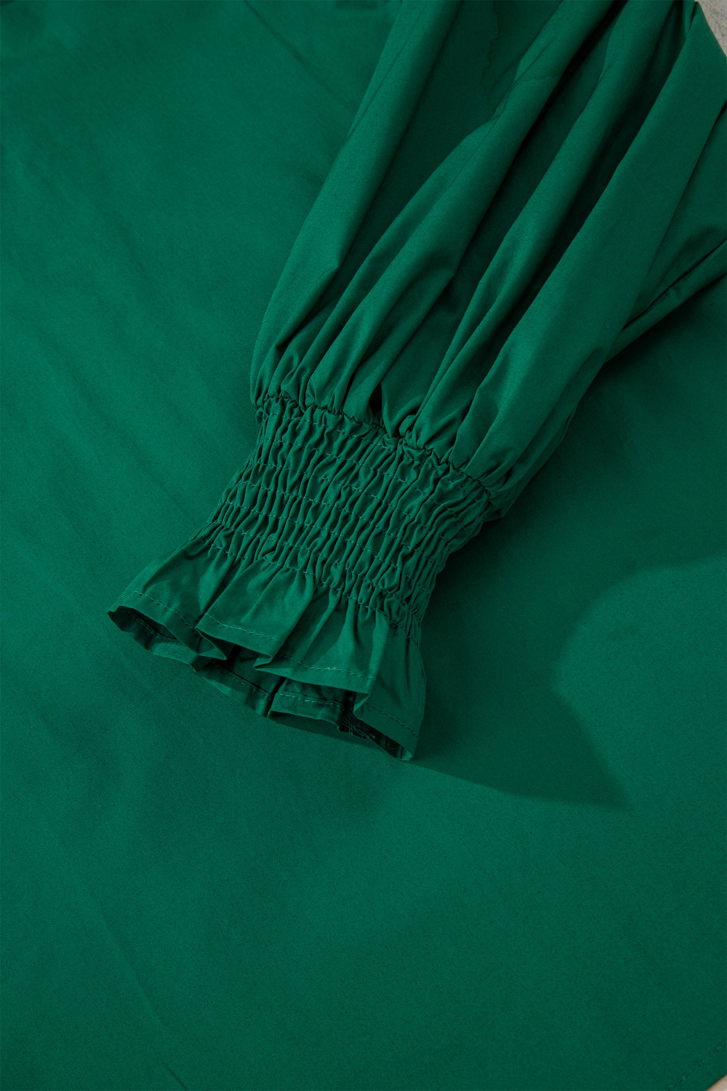 Evergreen Puffy Flounce Sleeve Leopard Trim V Neck Blouse