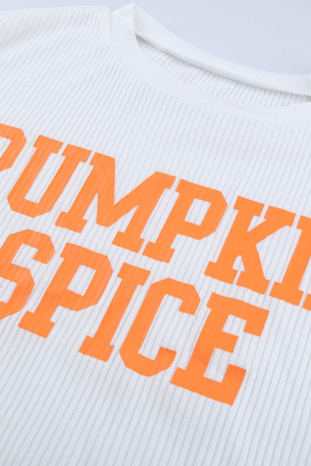 PUMPKIN SPICE Graphic Pullover Knit Top - L & M Kee, LLC