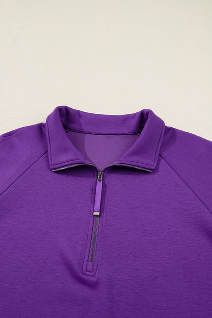 Wisteria Collar Half Zip Pullover Mini Skirt Plus Size 2pcs Set