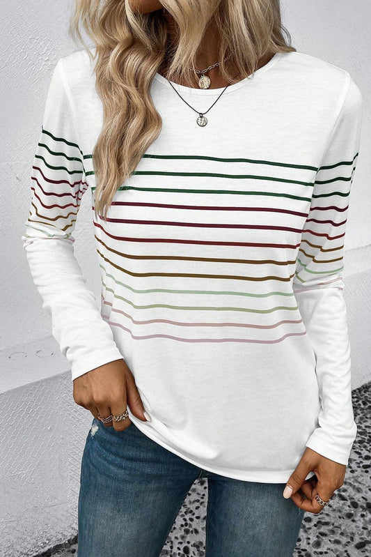 Multicolor Striped Crew Neck Long Sleeve Top - L & M Kee, LLC