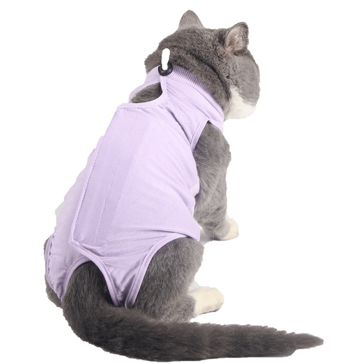Pet Surgery Recovery Suit - L & M Kee, LLC