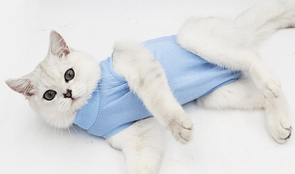 Pet Surgery Recovery Suit - L & M Kee, LLC